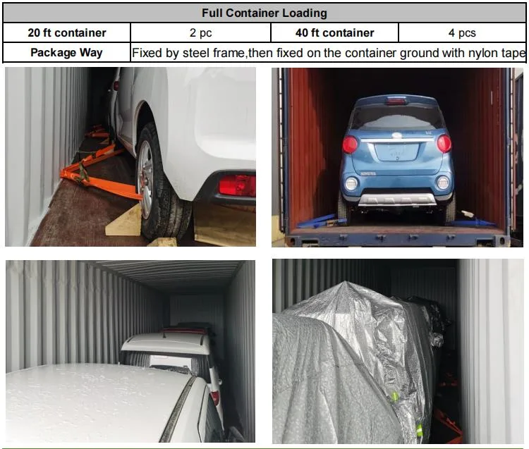 Raysince Battery operated New Energy electric mini cart 3 doors 4 seats mini car smart with CE certificate