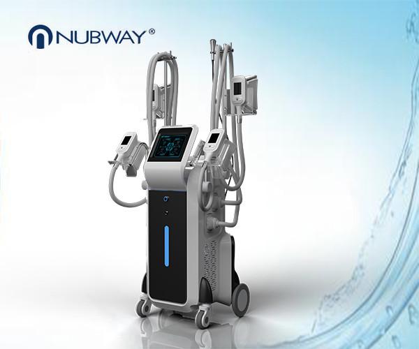 hot sale body slimming 4 cryo handles cryolipolysis effective machine