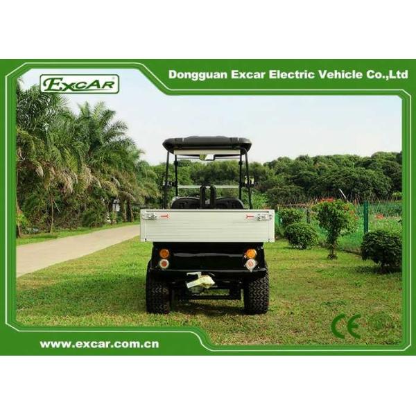 Автошины 14 дюймов охотясь общего назначения электрические багги гольфа с коробкой груза