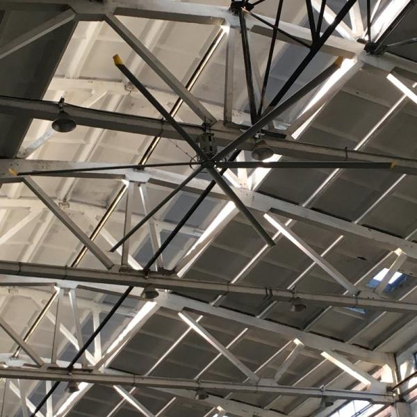 Button Control Fast Adjust Large HVLS Industrial Fans For Gymnasium Ventilation