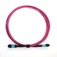 12 corde de correction magenta de fibre de l'assemblée plénière OM4 MTP des fibres OFNP