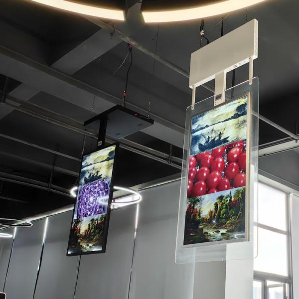 43 55 Inch Double Side Wall Mounted Digital Signage Advertising Hanging Digital Signage