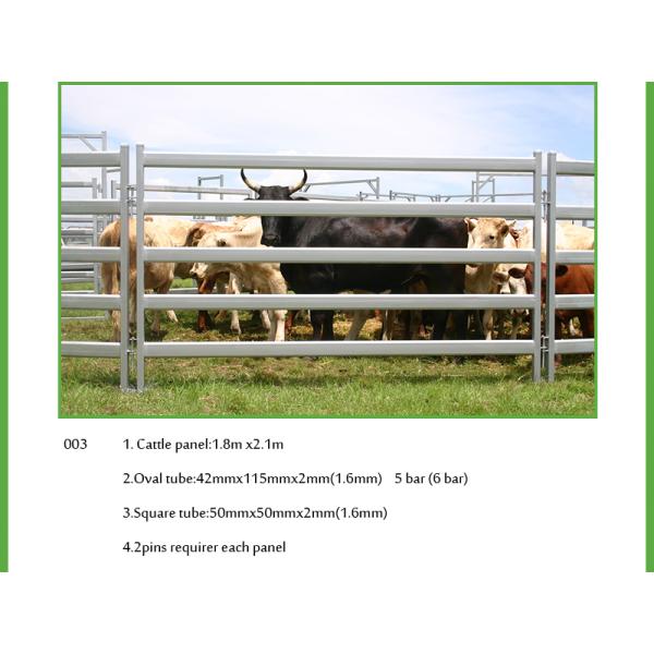 1800mm x 2100mm cattle panels oval pipes 30mm x 60mm ,40mm x 80mm