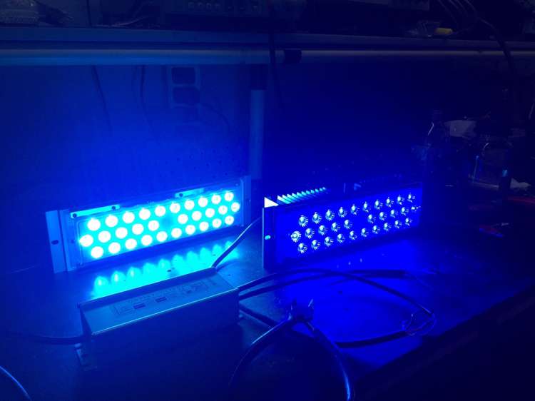 рождество привело светлое на открытом воздухе украшение rgb привело свет потока IP65 привело свет потока RGB модуля pcb
