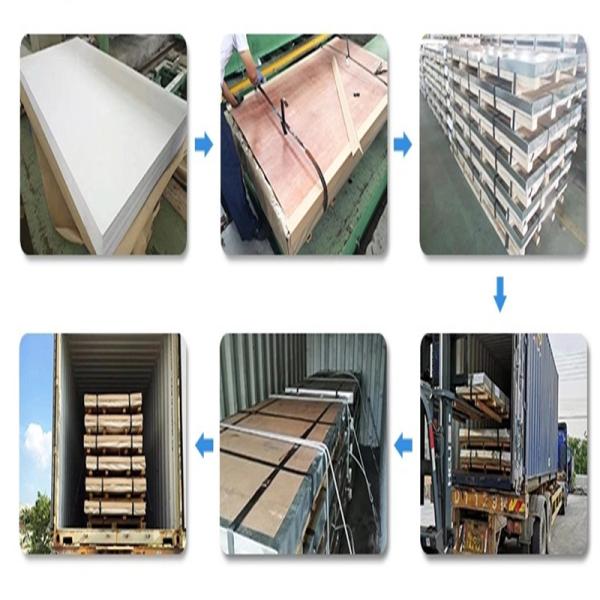 Stainless Steel Metal Plates with Round / Square /Hexagonal Holes