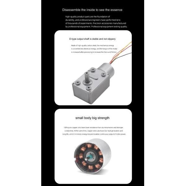 Micro Electric Dc Brushless Motor 300rpm 25w CCC With Worm Gear