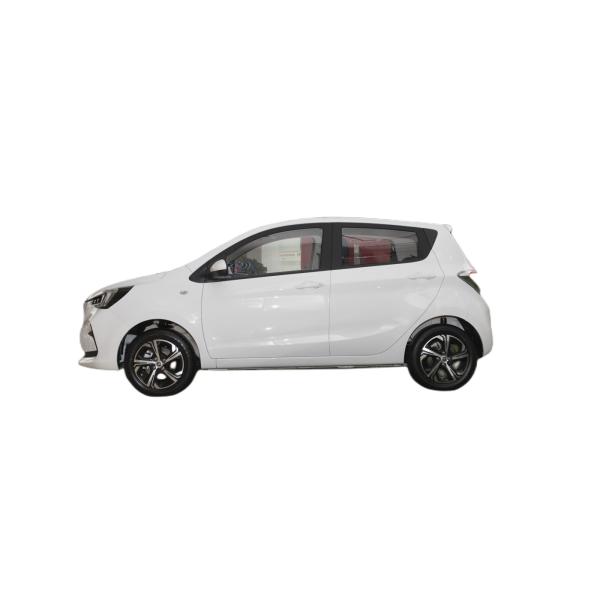 Green Color Mini EV Cars Changan Benben Ev 300KM Max Speed 101 Km/H