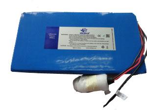 Lithium Polymer Battery Pack 24V 10Ah For Electric Vehicle