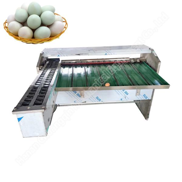Egg Size Sort Machine Egg Sorter Machine Egg Sorter Egg Classify Machine