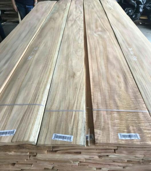 0.5mm Chinaberry Sliced Wood Veneer for Furniture Door Panel and Woodworking from shunfang-veneer-com.ecer.com