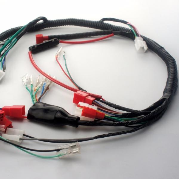 Motorcycle Accessories Harness Wire ZJ-125cc CG-125 with 5 Gear Shift Whole Body Wiring