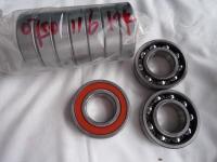 Rolamento de esferas radial de carregamento de aço inoxidável do rolamento 0750116104 da transmissão dos acessórios do carregador