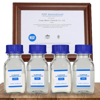 NSF Certified Aluminium Chlororhydrate ACH Water Treatment Grade / Cosmetic Grade / Coagulant & Flocculant