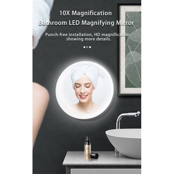LED Lighted Bathroom Makeup Mirror 10X Magnifying - Goose Neck Wall Mounted with Suction Cup