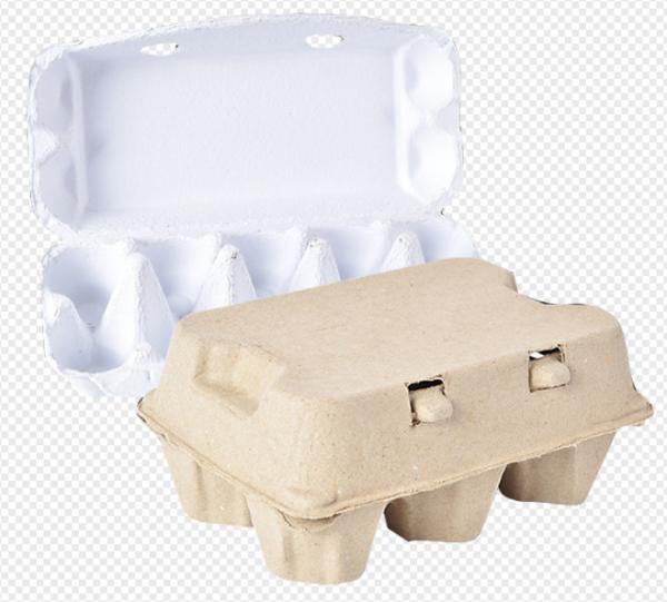 Bandeja giratória do ovo de 8 lados que faz a máquina, equipamento do molde da polpa do suporte de copo