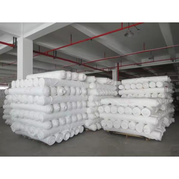 Jiaxing Factory Supplier 100% Polyester Greige Knitted Fabric Plain Style Textile Raw Material for Lining and Garments