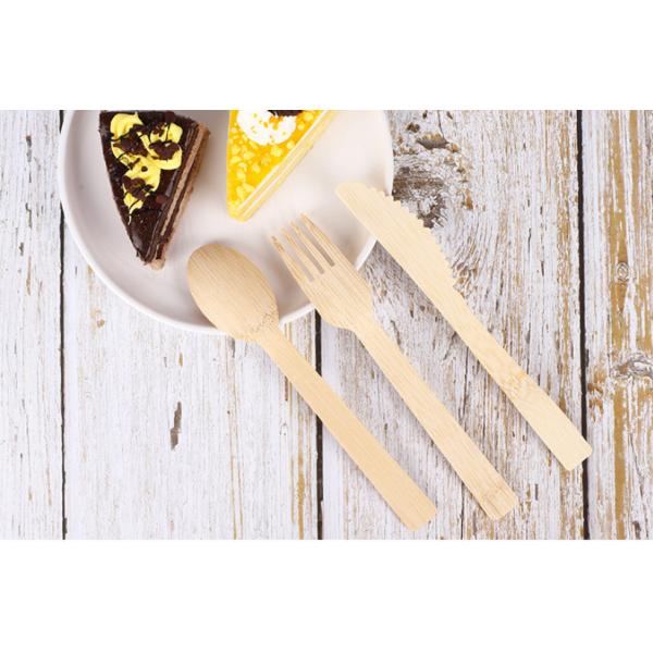 Coloful Mini PLA Biodegradable Compostable Cutlery Spoons Bulk For Dessert 4''