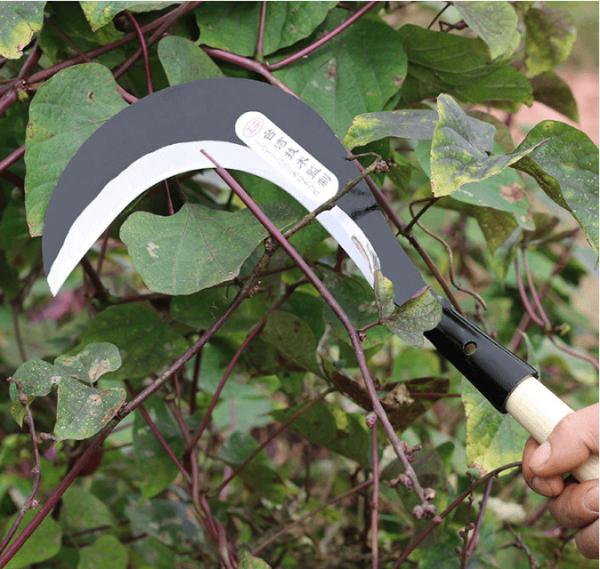 Rice Long Handle Steel Harvesting Sickle Farming Sickle Tool Quenching 9.6 Inch