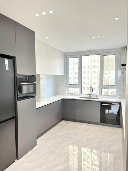 Vente en gros de panneaux personnalisés Laque haute brillance Pet Design Armoire de cuisine moderne