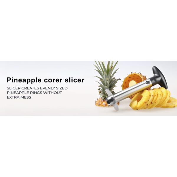 Stainless Steel 304 Pineapple Corer Slicer Fast Kitchen Gadget for Easy Core Removal