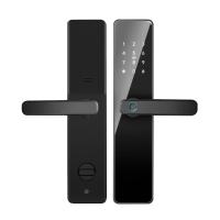 Qleung S819 Aluminum Door Fingerprint WiFi Enabled Tuya TTlock With Password Key Card for Home