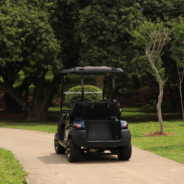Affordable 2 Seaters Electric Golf Cart With Lithium Battery