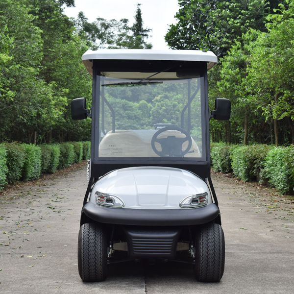 Wholesale 6 Seaters New Energy Golf Cart with 48V Trojan Battry