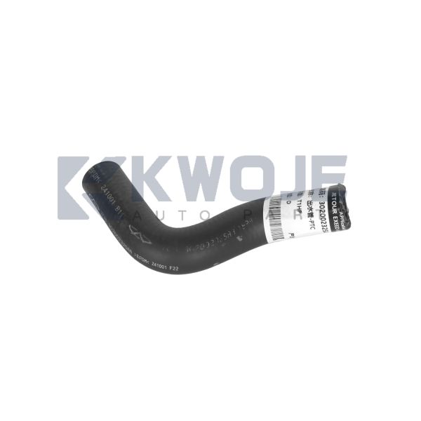 OEM 302002325AA ENGINE PTC WATE ROUTLET PIPE ASSY  For Jetour L6