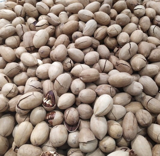 AI-powered Optical Sorter For Pecans With Cost-effective RGB Imaging And Deep Learning For Precise Defect Removal.