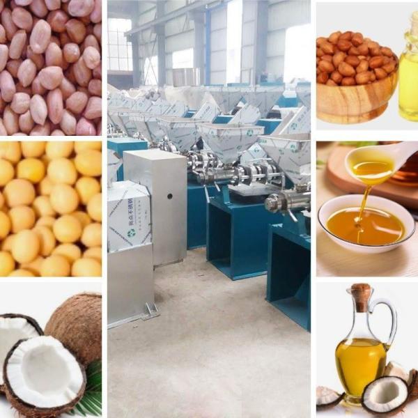 Soybean Oil Extractor Machine Suppliers Spiral Oil Press with Customized Performance