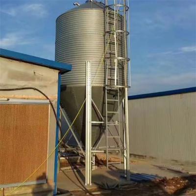 Feed Storage Automatic Poultry Farming Equipment Durable 1 Year Warranty