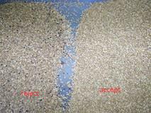 Optical CCD Colour Quinoa Processing Equipment For Farm To Sorting Quinoa Separator