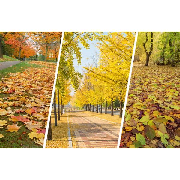 Скоростной регулируемый 21В электрический вентилятор мощный 1000W беспроводный листья вентилятор бытовой вдувающий снег