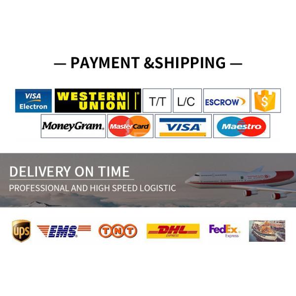 Durable Smart Weight Scales Weigh Basculas Digital Balance Electronic Scale Bascula Mini 50KG Luggage Portable Weighing Electronic Scale