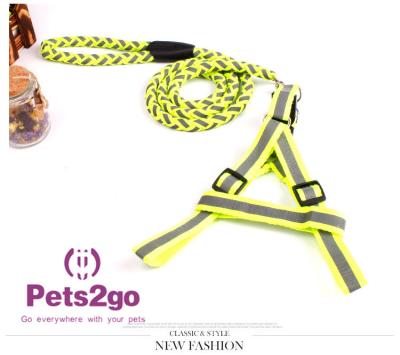 O colar de choque do cão do animal de estimação que treina cachorrinhos utiliza ferramentas a curva de aprendizagem dos conceitos básicos