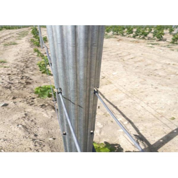 1.5mm ThicknessGarden Trellis Posts With 10 Pari H Holes On Side Anti Corrosive