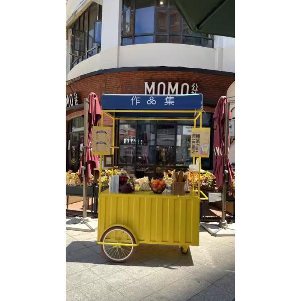 220V/380V Voltage Tricycle Mobile Food Truck for Design Street Ice Cream Cart