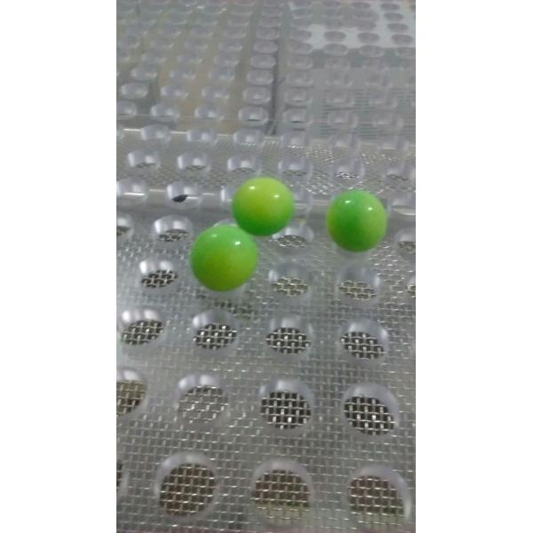 Auto Food / Pharmaceutical Paintball Encapsulation filling Machine with 6" Die