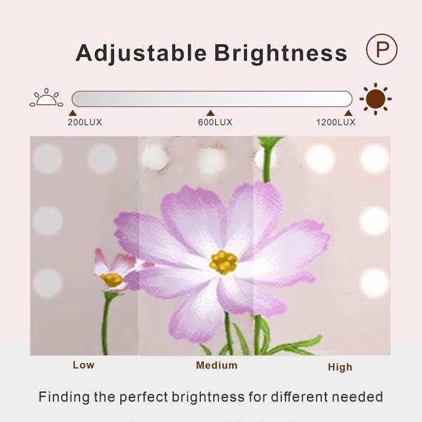 Discover the Magic of Hollywood Mirror for Your Beauty Needs