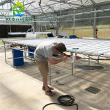 Подгонянный парник сада листа ПК Hydroponic для салата