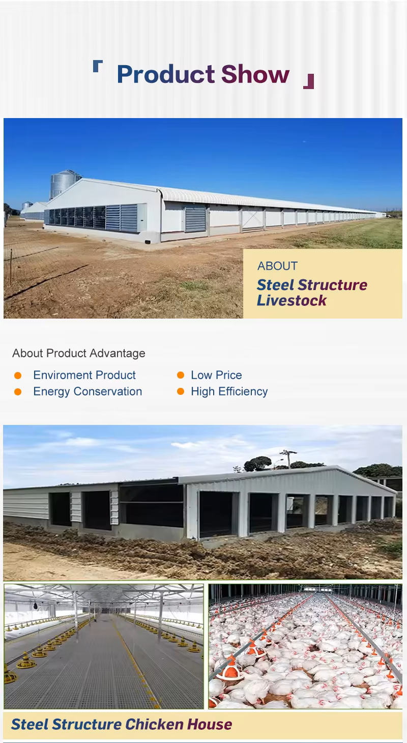 Commercial Prefabricated Steel Building Durable Easy Install For Broiler Chickens Farms