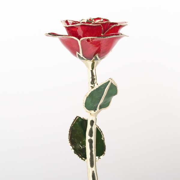 24k Gold Plated Rose Dark Blue Eternal Rose Gift Manufacturer Wholesale Valentine's Day Christmas Creative Ornaments