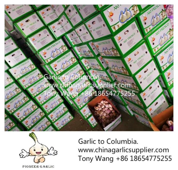2019 China garlic to Columbia. new crop with good price.
