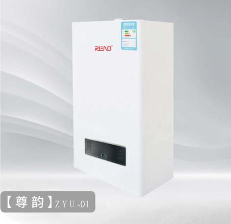 20kw 24kw Wall Mount Gas Boiler Domestic Lpg Gas Combi Boiler Liquefied Petroleum