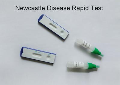Dos jogos veterinários do teste do vírus da doença de Newcastle precisão visual do julgamento 99%