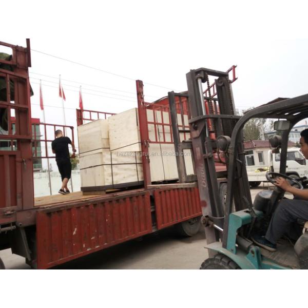 520kg Output Electric Driven Economical KC-NGY-L Capsicum Plaster Manufacturing Plant