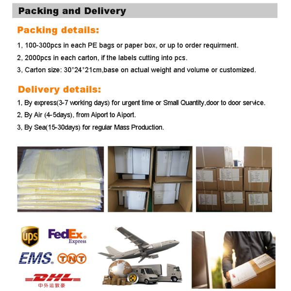 Бирки силикона Workwear 0.3mm экранируют напечатанные заплаты на ленте ленты