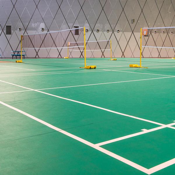 Спорт PVC безопасности справляясь красочная крытая толщина циновки 6.0mm бадминтона