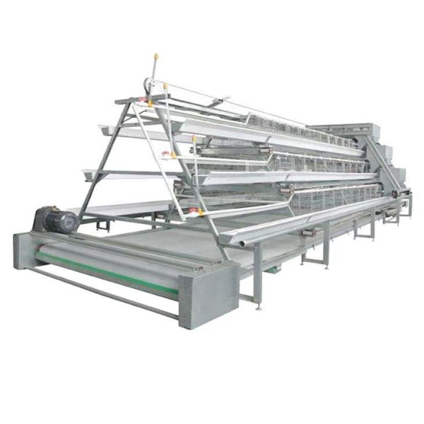 Galvanized Steel H Type Battery Layer Cages with Modular Structure and Automated Feeding for Poultry Farming