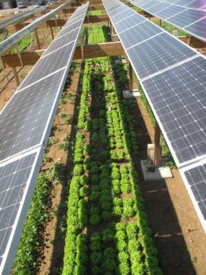 Sistema voltaico solar da grade do IEC do CE do inversor de Cusomized 6000W